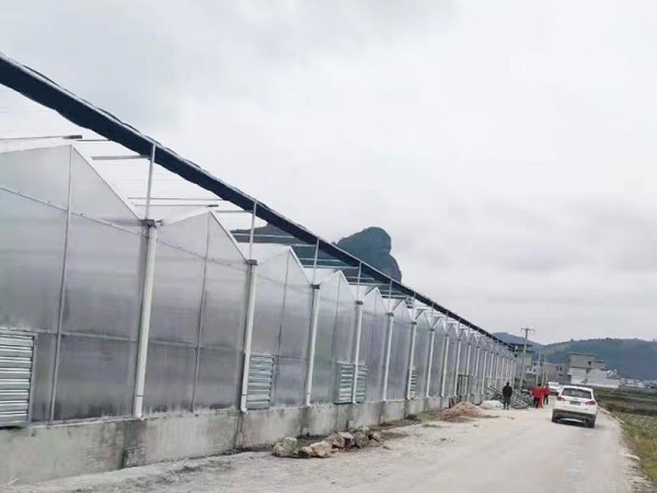 溫室大棚為什么要選用PC陽光板做覆蓋材料？